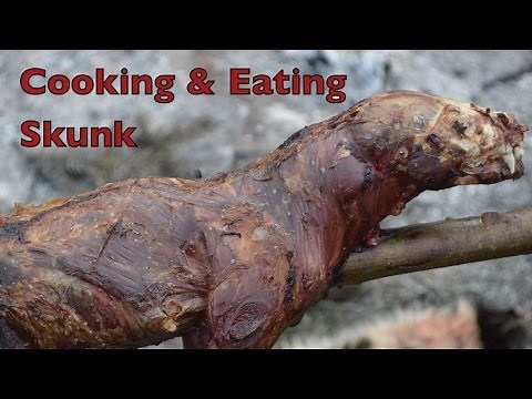 Cooking & Eating Skunk. Skinning a Skunk & Roasting The Meat Over an Open Fire.