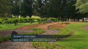 12K views · 32 reactions | ICYMI - Adams Vineyard in Historic Norcross has move-in ready homes and presale lots available for Atlanta new home buyers who want to live in this beautiful vineyard community located in Gwinnett County. Call Blake today for more details and to schedule a personal tour - 404-992-0515 | Brock Built | Facebook