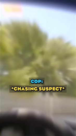 Two Types of Cops vs. Fence