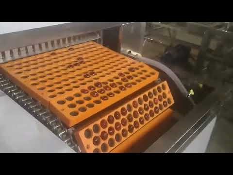 High Quality Hawthorn Seed Separator Stone Fruit Pitter Date Palm Dates Seeds Removing Machine