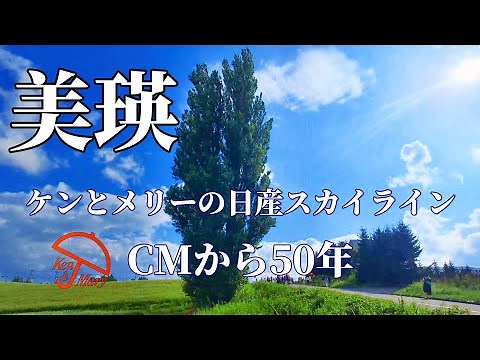 【美瑛】ケンとメリーの木1972年スカイラインCMロケ地
