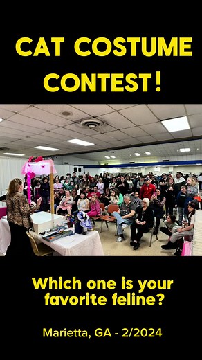 Best Dressed Cat Contest at CFA Cat Show