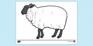 Smiling Sheep Colouring Sheet