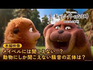 「私がビーバーになる時」本編映像｜メイベルには聞こえない…？動物にしか聞こえない騒音の正体は？｜大ヒット上映中！