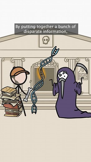 What are the most common causes of Death throughout history? Did these surprise you? And did you perhaps expect something else? #death #causeofdeath