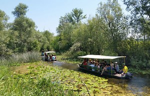 Hutovo blato ima novu atrakciju - Jabuka.tv