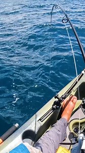 Wait for it... that moment when they realize they're hooked 😳 | Field Trips with Robert Field