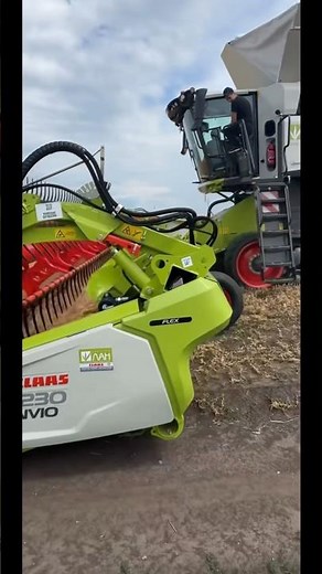 700 HP CLAAS LEXION 8800 IN ACTION! 💪#tractor #shorts #harvest
