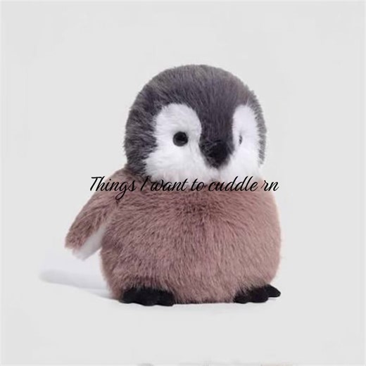 😈 | cuddle pillows