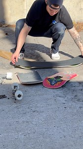 Shark Wheel on Reels
