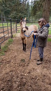 Denise Phillips on Reels