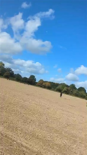 Toujours les mêmes qui ont de la chance, c’est incroyable 🥲 Une silique en argent, très jolie monnaie romaine. Lui il est en train de vivre son meilleur Detectival ! | Maison De La Detection