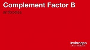 Complement Factor B antibodies from Thermo Fisher Scientific