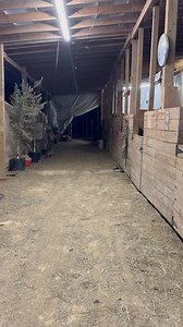 37K views · 1.9K reactions | Smooth Moves Ranch on Reels | Facebook