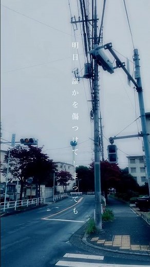 野田愛実 / 明日 #野田愛実 #明日 #わたしの宝物 #リリックビデオ