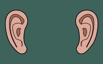 【ASMR/助眠】p q ASMR 피큐 直钻耳蜗的触发音