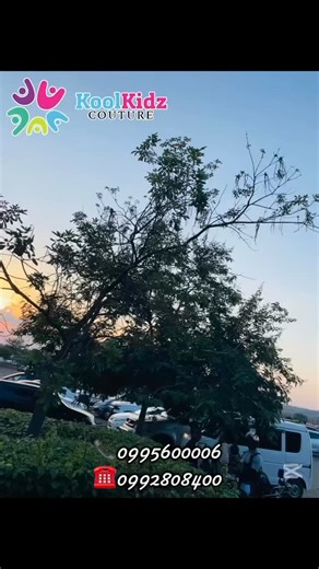 82 reactions · 11 comments | We are excited to announce the location of our new branch in Lilongwe gateway mall 拾拾 and it's coming in hot with a 50% off sale on selected items and a 10% discount on all items in stock  this promo will run for the whole months of November gateway branch 拾拾 Call or WhatsApp 0995600006 /0992808400 | Clodina Chisale Milanzi | Facebook