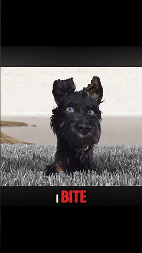 A BOY CHANGED THIS DOG LIFE | Isle of Dogs🐕❤️