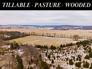 52 reactions · 3 comments | 80 Ac Washington Co Land Online Auction Bidding Now - March 26 S Wilson Road Campbellsburg, IN 47108 Highlights: 80 +/- acres located in Campbellsburg, IN with road frontage on Wilson Rd. Property offers a combination of tillable acres, former pastureland, & wooded acreage. Click here for more info➡ https://www.beckortauctions.com/auction/80-ac-washington-co-land-online-only-auction-75272/details | Beckort Auctions, LLC | Facebook