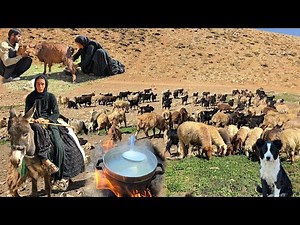 Life of an Iranian Nomad Girl|Herding Sheep and Riding Her Donkey Through the Mountains