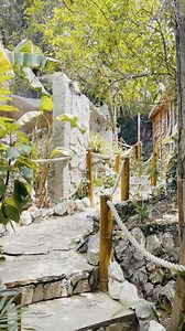 Alameda Wildlife Conservation Park, the home of exotic animals where the med begins 🐒 visitgibraltar.gi #visitgibraltar #wherethemedbegins #AWCP #tourism #rockofgibraltar #animals #gibraltar #travel #travelgram #zoo #gibraltargardens #thingstodogibraltar #gibraltaractivities | Visit Gibraltar