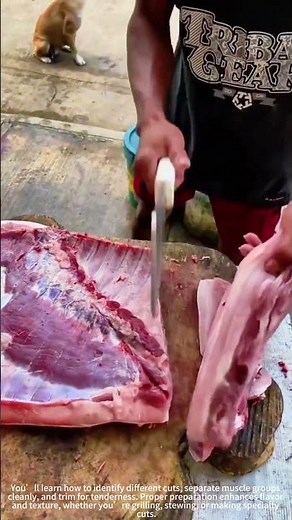 Horse Meat Butchery Like a Chef! 🔪🐴