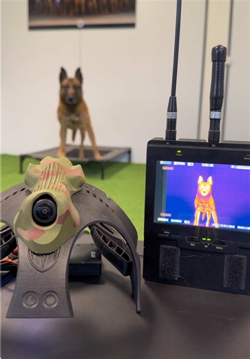 K9 Vision System V4: Advanced Dog-Mounted Cameras