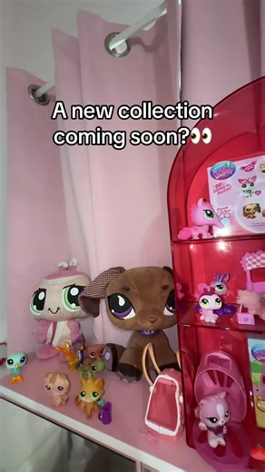 Please drop suggestions I was thinking calico babies bc I have some🥰 #lps #lpscommunity #lpstok #toycollector #spongebob
