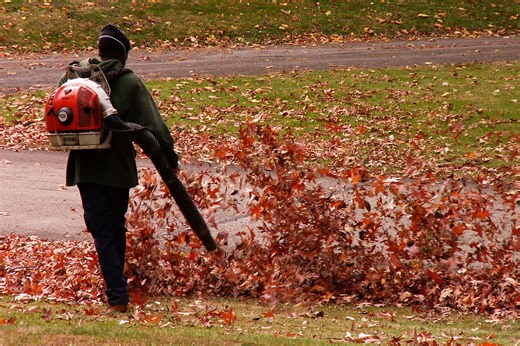 General Assembly silences one bill to regulate gas leaf blowers, but another is still alive | FFXnow