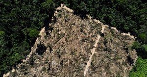 Desmatamento na Amazônia brasileira sobe em julho, mas recua 45,7% em um ano