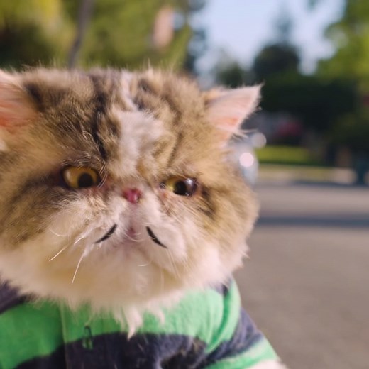 A little coffee can go a long way ☕️ | Aaron's Animals