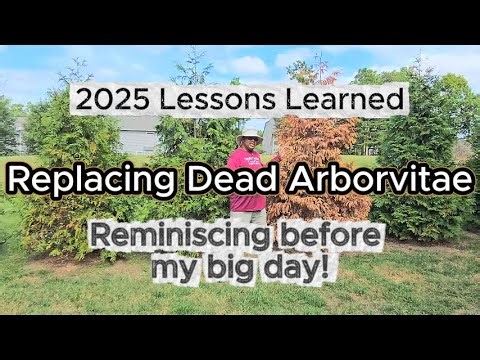 Replacing Dead Arborvitae - 2025 Gardening Lessons Learned!