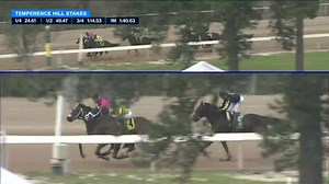 61K views · 1.5K reactions | The longest shot on the board #5 CALIBRATE ($62.60) wins the $150,000 Temperence Hill Stakes. The 5 year old son of Distorted Humor was ridden by Francisco Arrieta and is trained by Coty Rosin. Congrats to all the connections! Watch more on #FanDuelTV. | FanDuel Racing | Facebook