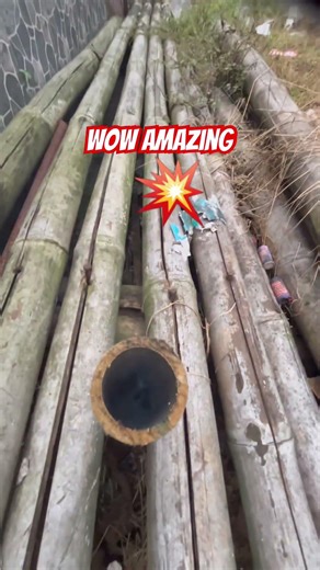 Interesting fireworks rocket experiment #crakers #fireworkshorts #fireworks #pyro #shorts #fire