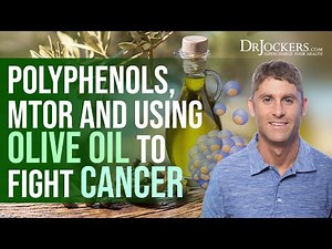 mTOR, Polyphenols and Using Olive Oil to Fight Cancer with Dr. Limor Goren