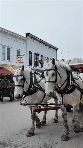We took a Horse Carriage Tour on Mackinac Island! 🐴