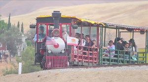 CALM Zoo's spring fling is fun for kids, 'staycation' for parents