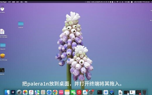 palera1n越狱 macos端教程