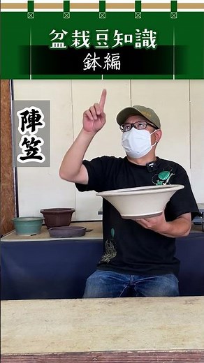 【鉢編】陣笠／盆栽豆知識