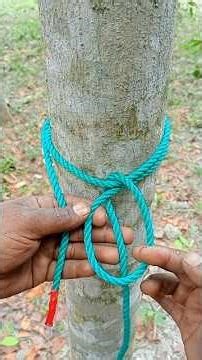 “This Simple Knot on a Tree is Surprisingly Strong!”