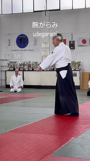 大東流合気柔術 on Instagram: "腕がらみ 肩肘手首と3点に効きます #大東流 #道場 #大東流合気武道 #剣術 #大東流合気柔術 #martialarts #daitoryu #柔術 #呼吸法 #selfdefens #aikibudo #人間力 #秘伝 #技 #合気道 #aikido #aiki #aikijyuj"