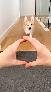 830K views · 7.4K reactions | Funny 藍 Life generated Beautiful day  | Funny Recreation | Facebook