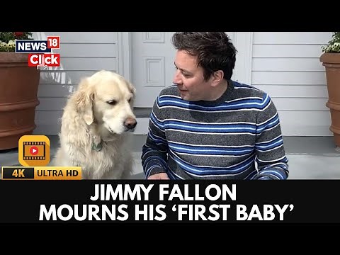 Jimmy Fallon Emotional Tribute | Losing His First Baby | Jimmy Fallon Dog | Showbiz | 4K