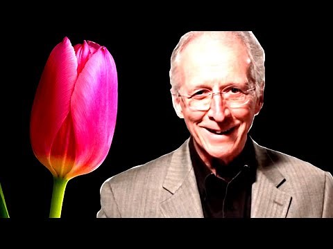 What Are the 5 Points of Calvinism? TULIP Explained