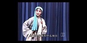著名演员 张丽