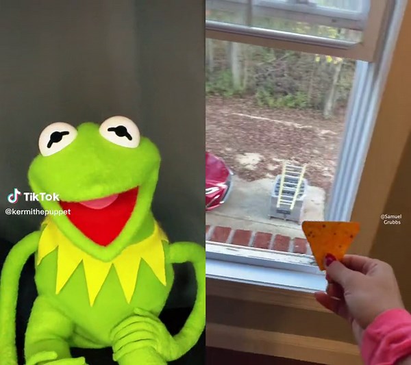 Kermit the Frog Cucumber Memes | Hilarious Duet Reaction