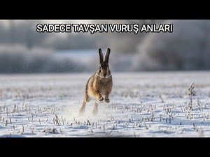 2025-2026 SEASON: RABBIT HUNTING ONLY. #rabbithunting #harehunting #tavşanavı#gopro