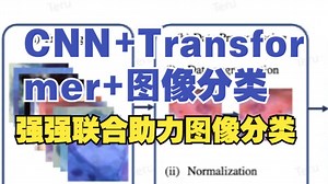 太牛了！CNN与Transformer强强联合，助力图像分类！