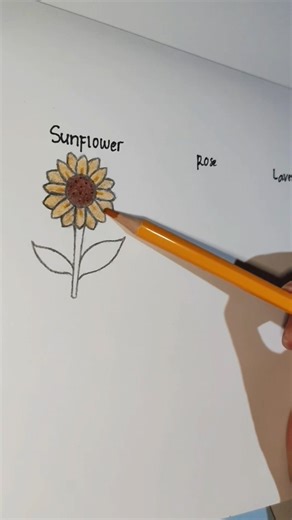 How to Draw Flowers (Sunflower, Rose, & Lavender) #art #drawing #sketch #drawingtutorial