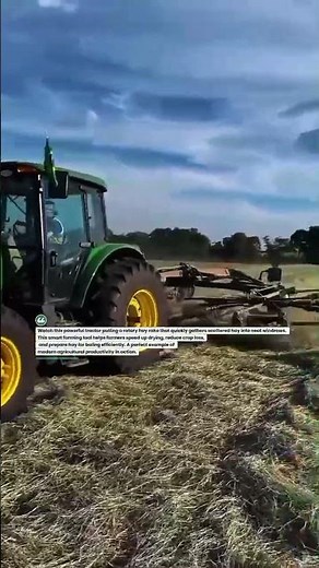 Powerful Tractor Hay Rake in Action 🚜 Turning Fields Fast #FarmingTech #HayRake #AgriShorts
